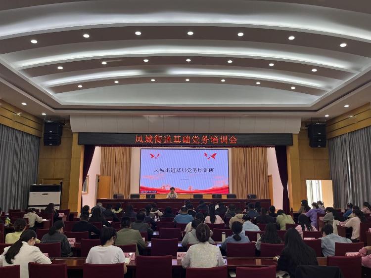 2024年凤城街道基础党务工作培训会开班(图1)