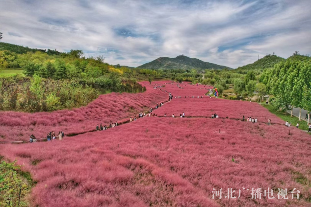 【高质量发展的河北力量】废弃矿山重生记(图3)