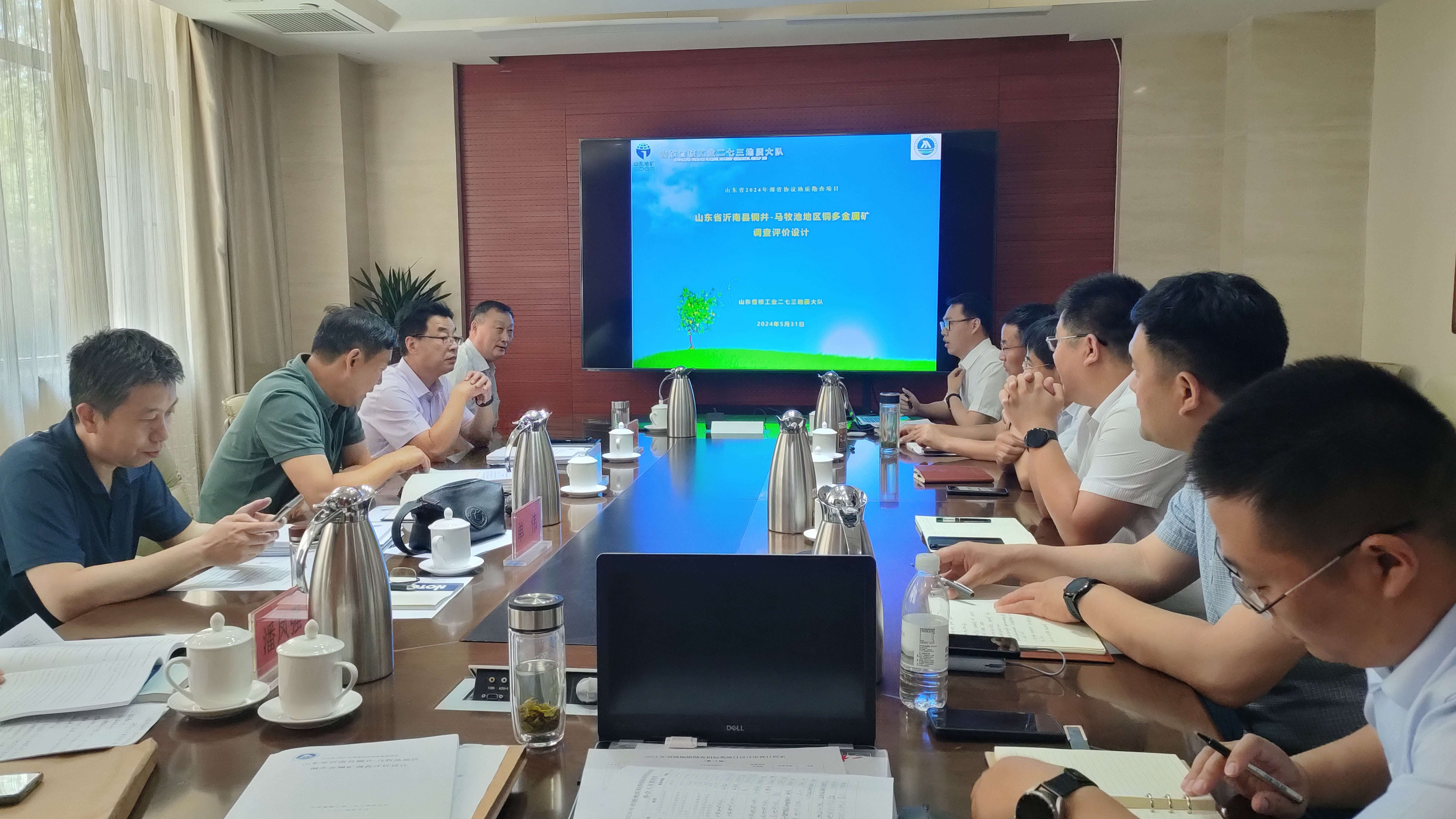 二七三大队承担的2024年部省协议地质勘查项目设计通过评审(图1)