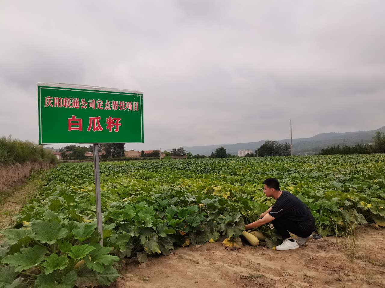 “百年传承三十向新”｜穿越千年丝路联通数智陇原(图9)