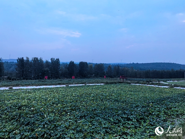 中煤地华盛水文地质勘察有限公司为武安市2024年历史遗留矿山修复治理项目第一中标候选人(图4)