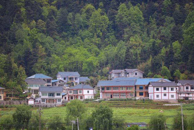 农民的福音！2024年宅基地将迎这14项改革举措农民准备好了吗？(图4)