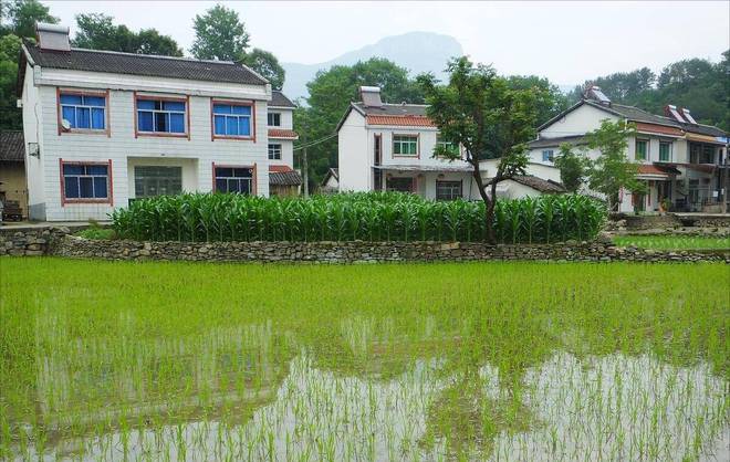 农民的福音！2024年宅基地将迎这14项改革举措农民准备好了吗？(图2)