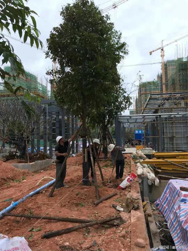 2024年工程行业好难啊！活难找找到了还要垫资才能干(图3)
