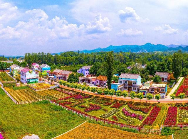 厚植生态“底色”加速延链补链——2024年洛南县重点项目建设综述(图4)
