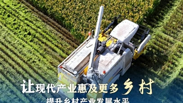 2024年一号文件发布农村宅基地调整政策细节一览农民尽早了解(图1)