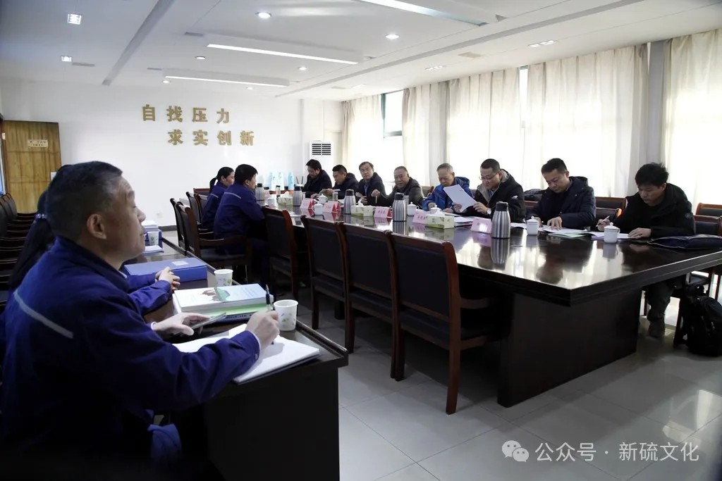 公司顺利通过2024年度绿色矿山实地抽查核查(图4)