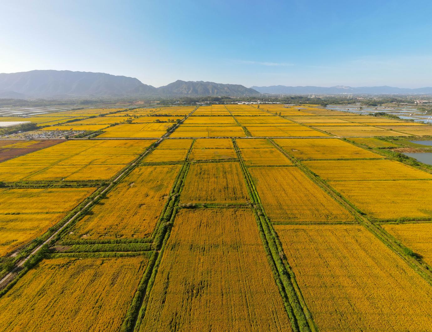 佛山三水：“整”出发展新空间“治”就城乡新画卷(图1)