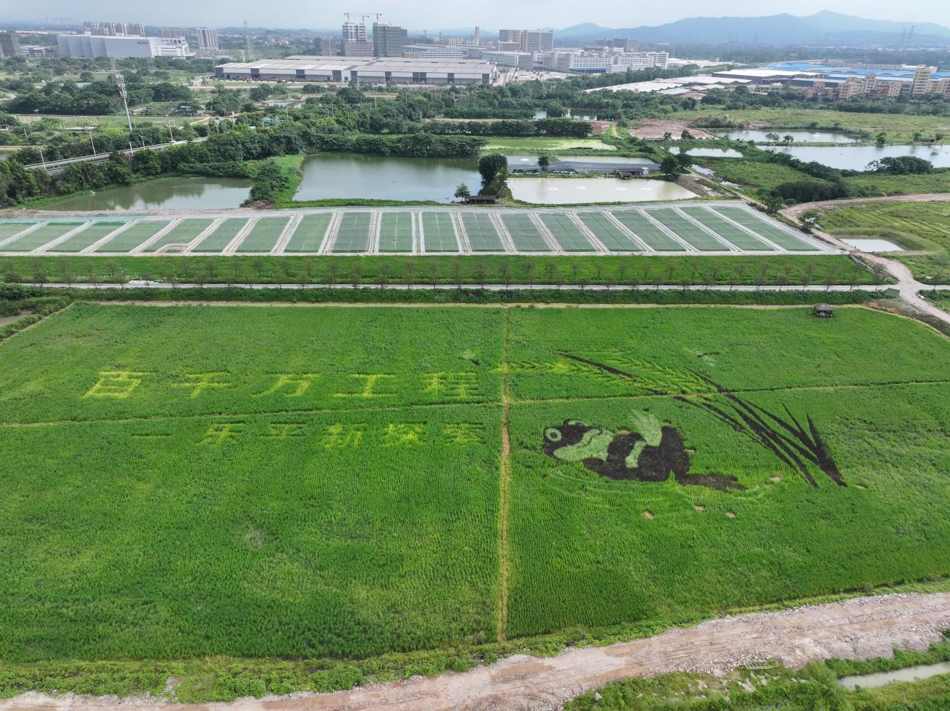 佛山三水：“整”出发展新空间“治”就城乡新画卷(图2)