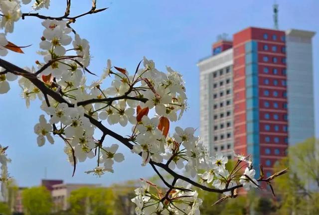 辽宁1所落寞的大学从全国重点沦为四非高校现校名也一言难尽(图3)