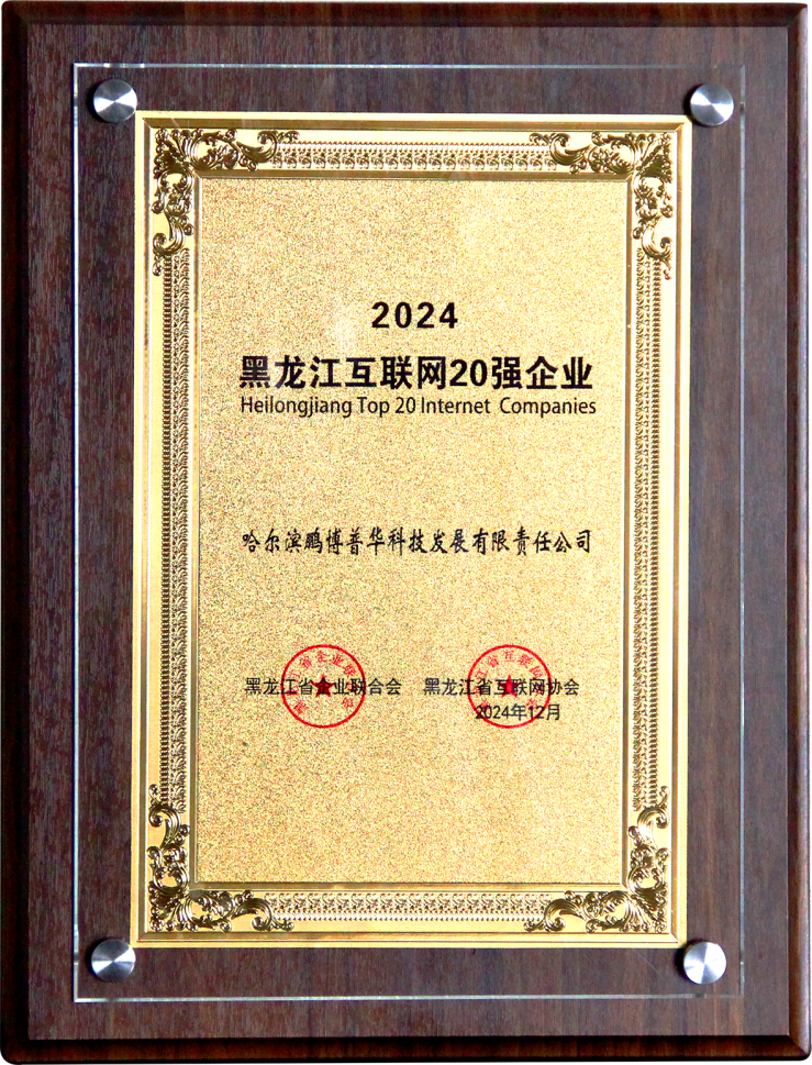 政企协同聚合力龙江数字经济跑出“加速度”(图2)
