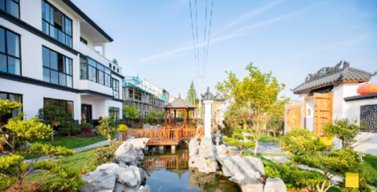 绘就乡村新画卷！上海建设乡村美丽庭院52万户(图6)