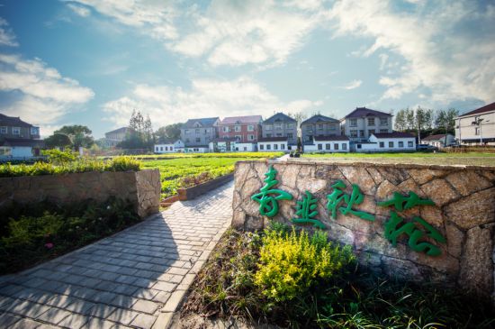 绘就乡村新画卷！上海建设乡村美丽庭院52万户(图1)