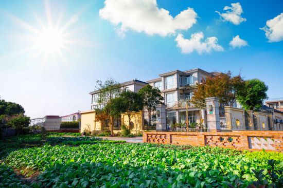 绘就乡村新画卷！上海建设乡村美丽庭院52万户(图3)