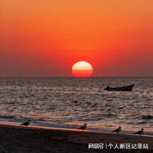 2025年知名的边坡防护网实力厂家TOP(图1)