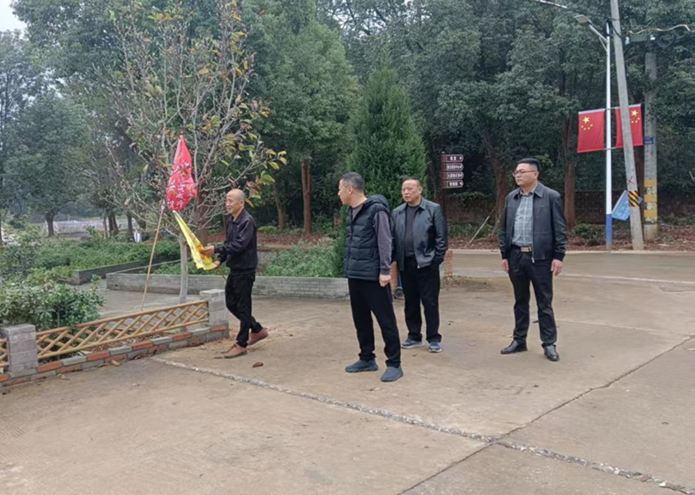 镇街动态-望江人大(图1)