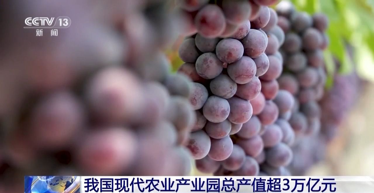 我国现代农业产业园总产值超3万亿元(图1)