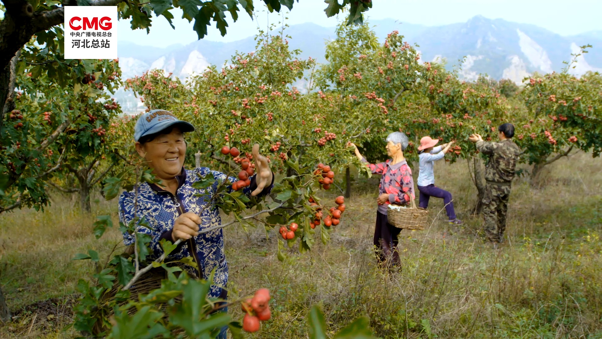 河北：“十四五”时期全省自然资源工作高质量发展成效显著(图2)