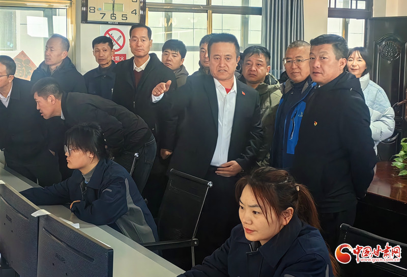 探访肃北矿业明珠见证产业腾飞盛景(图2)