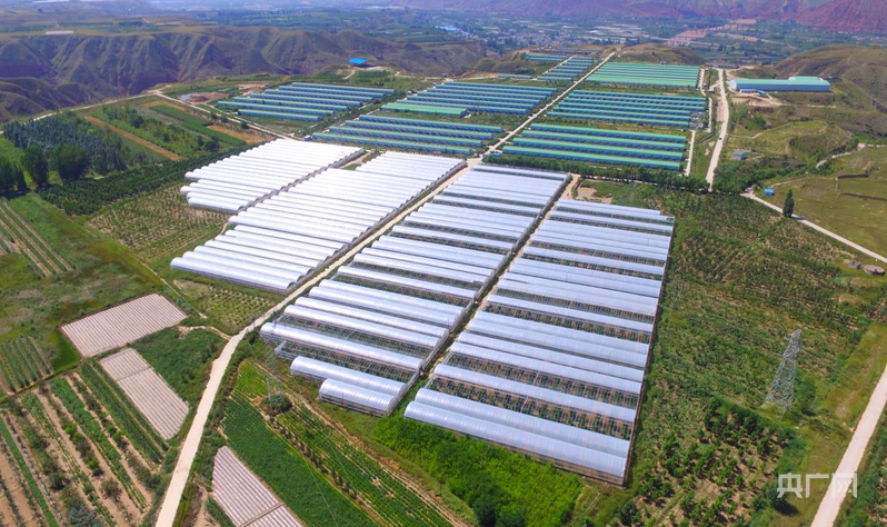 【竞速强省会21】“强生态”优先红古交五年答卷(图2)