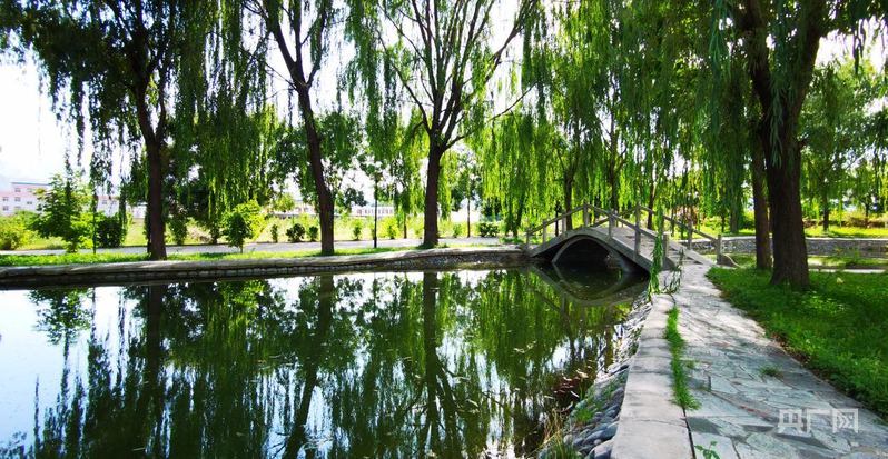 【竞速强省会21】“强生态”优先红古交五年答卷(图3)