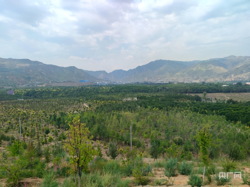 【竞速强省会21】“强生态”优先红古交五年答卷(图1)