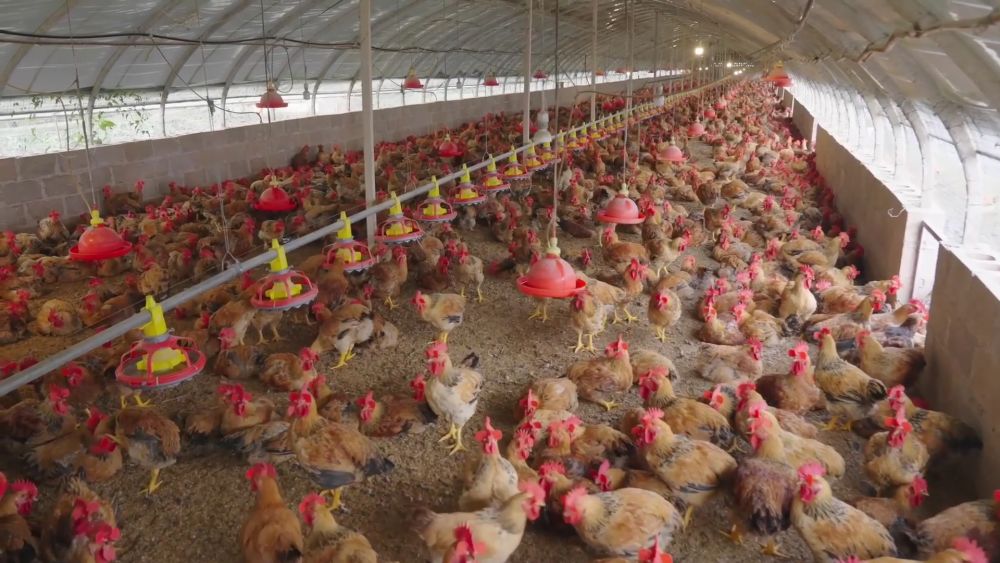 新华视点｜山河新貌：多地实践探索绿色发展(图3)