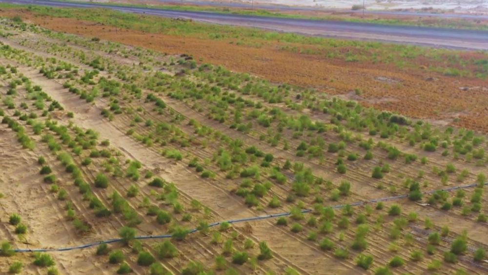 新华视点｜山河新貌：多地实践探索绿色发展(图1)