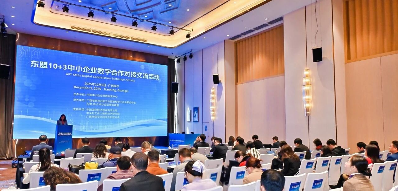 助力中小企业数字出海东盟10+3中小企业数字合作对接交流活动在南宁成功举办(图1)