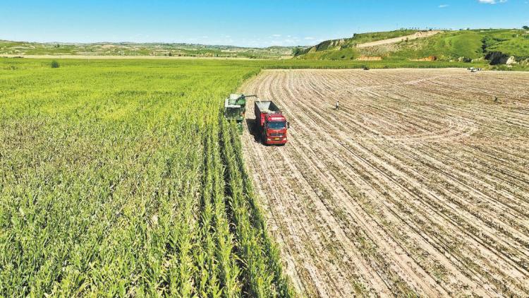 实干破局创新领航绿色铸魂——“十四五”时期陕西府谷县经济社会高质量发展回眸(图2)