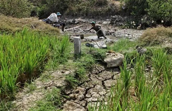 日企跑路核电猝死德国拿下越南高铁中国却成最大“赢家”？(图18)