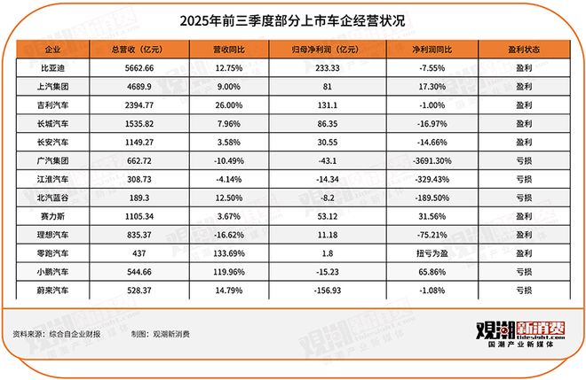 2025汽车市场的“龙门一跃”：油退电进全球登顶(图3)